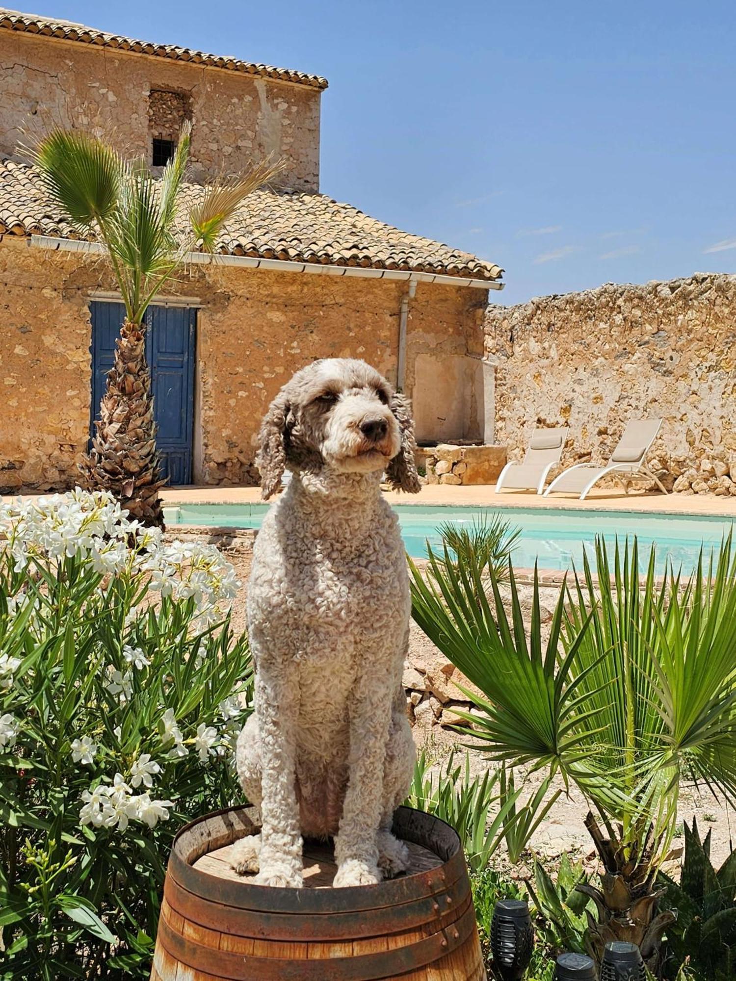 Bed and Breakfast Casa Rodriguillo Pinoso Екстер'єр фото