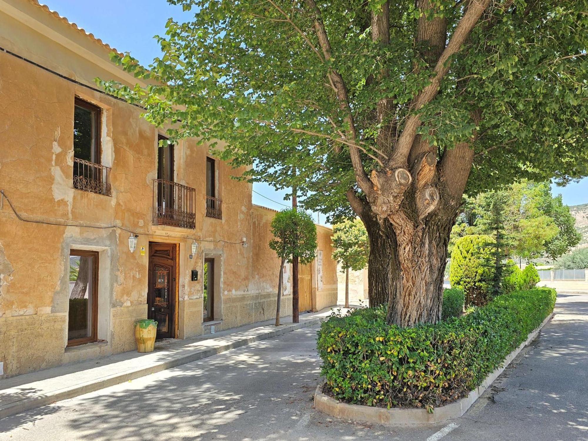 Bed and Breakfast Casa Rodriguillo Pinoso Екстер'єр фото